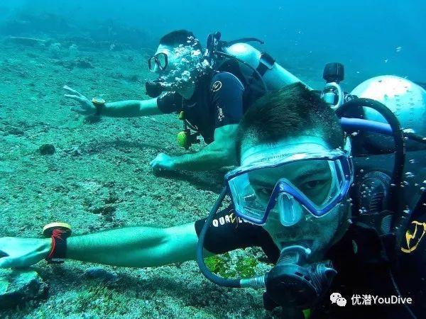 小猫钓鱼开船版最新版下载