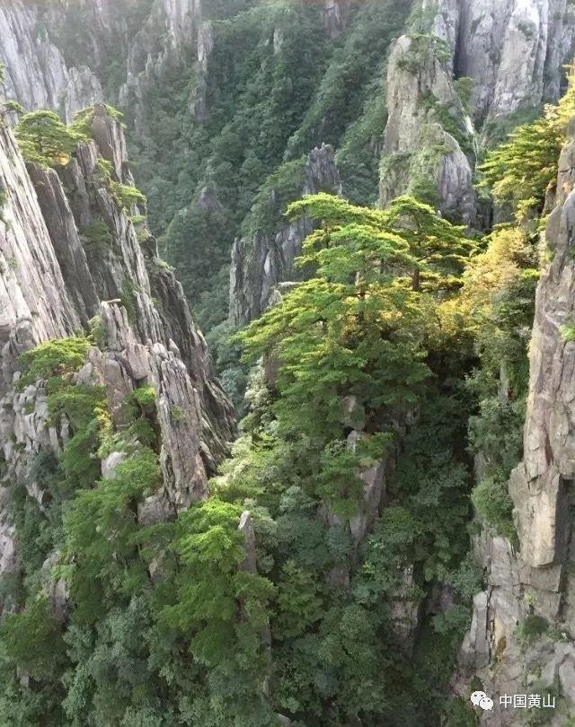 机智问答网页-聪明才智的1斤盐溶于1斤水,总重量是两斤吗?平台